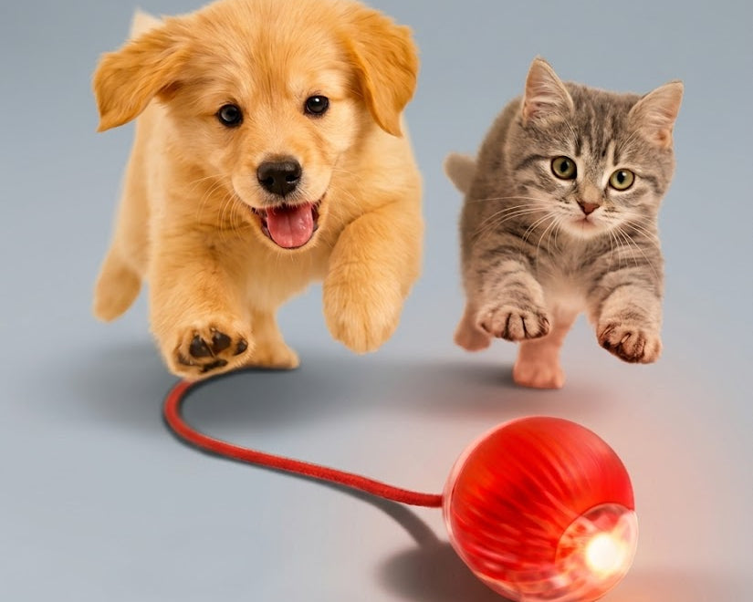 Bola Elétrica Interativa Brinquedo Inteligente Gato Cachorro