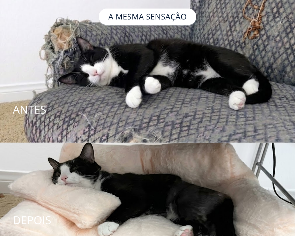 Sofá Pet De Pelúcia Cinza