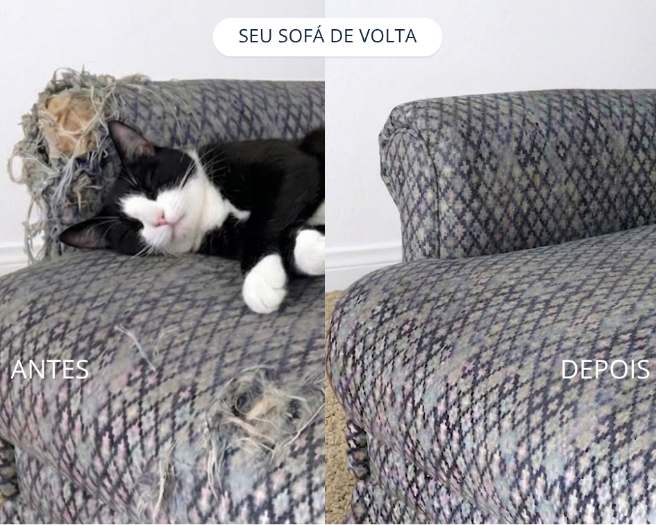 Sofá Pet De Pelúcia Cinza