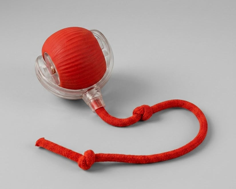 Bola Elétrica Interativa Brinquedo Inteligente Gato Cachorro
